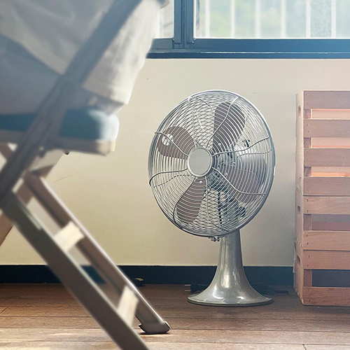 HERMOSA の FAN 。